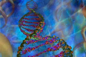 DNA 的显微图像。