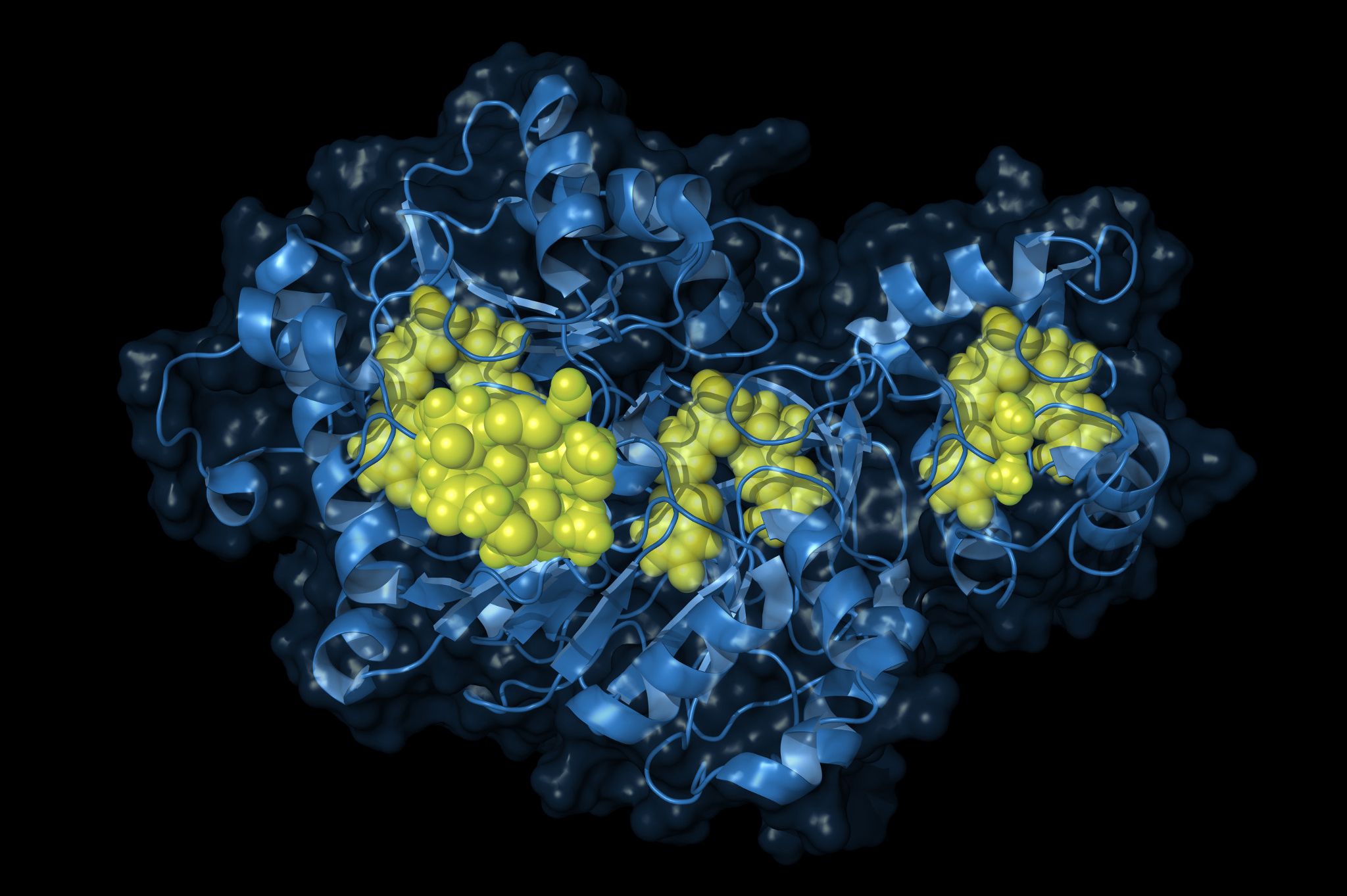 Celsis AMPiScreen 放大生物发光效果